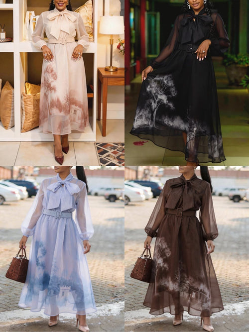 Chiffon Vintag Dress